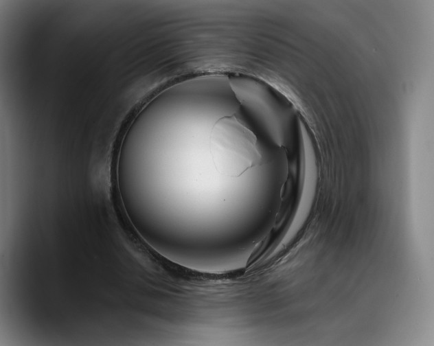 X0000090720438200707201351