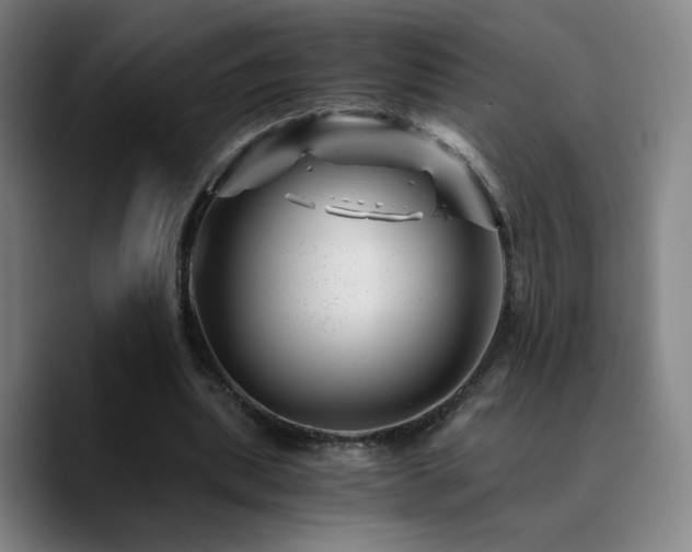 X0000090720439200707201351