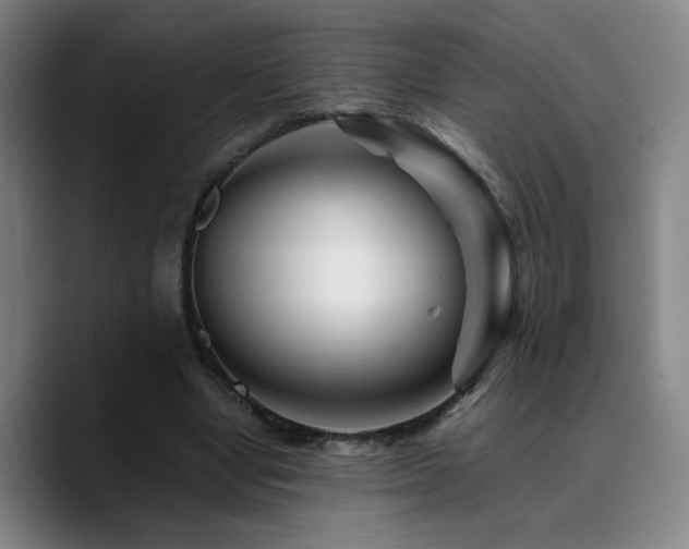 X0000090720442200707201351