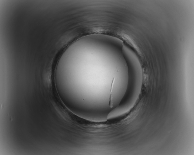 X0000090720443200707201351