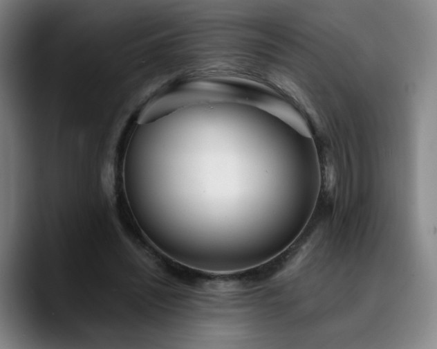 X0000090720444200707201351