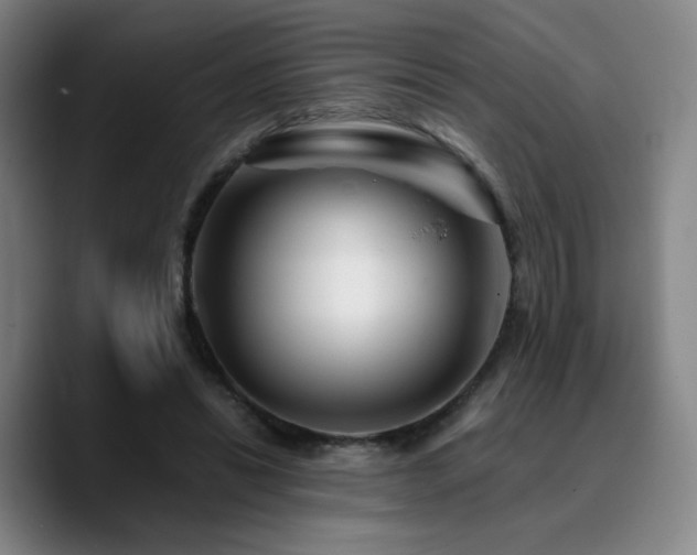 X0000090720446200707201351