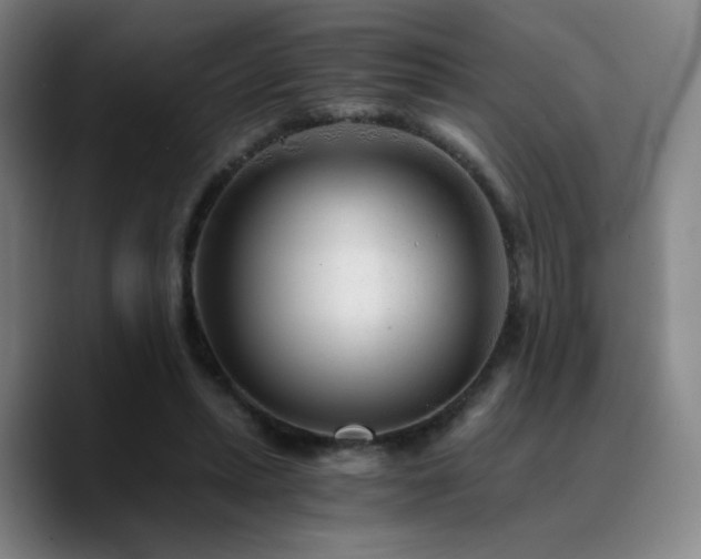 X0000090720447200707201351