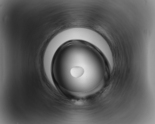 X0000090720448200707201351