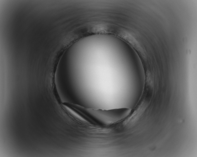 X0000090720449200707201352
