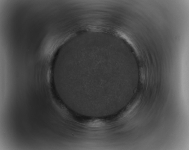 X0000090720451200707201352