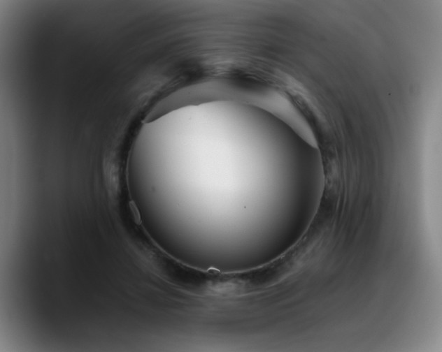X0000090720452200707201352