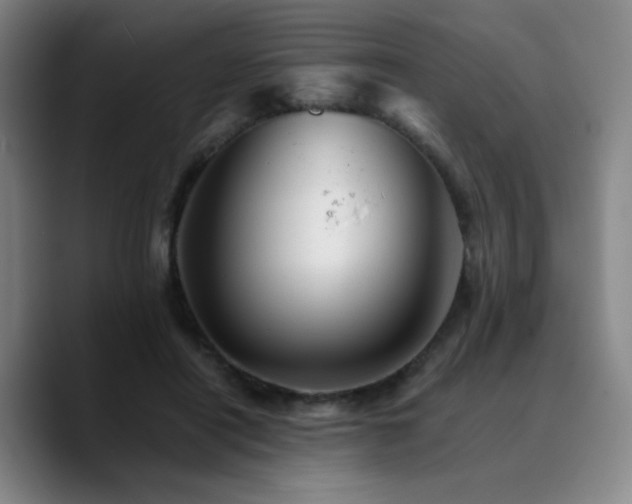 X0000090720454200707201352