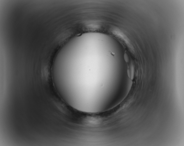 X0000090720455200707201352