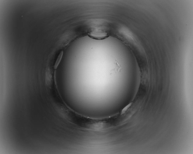 X0000090720456200707201352