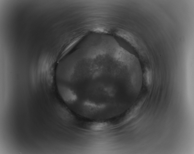 X0000090720458200707201352