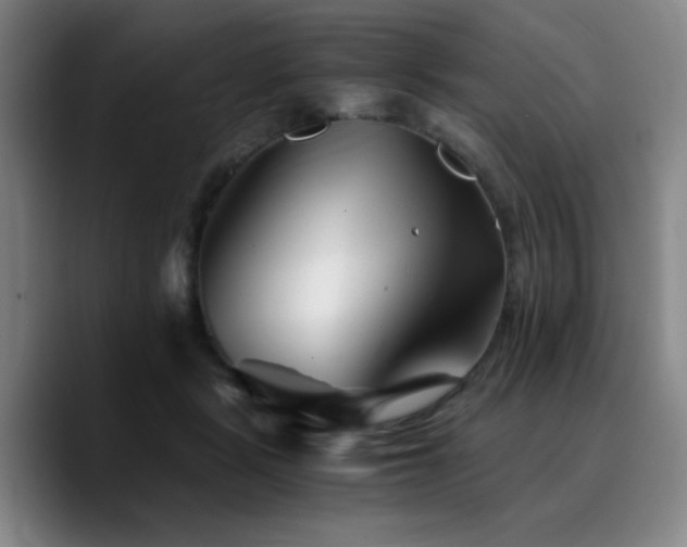 X0000090720461200707201352