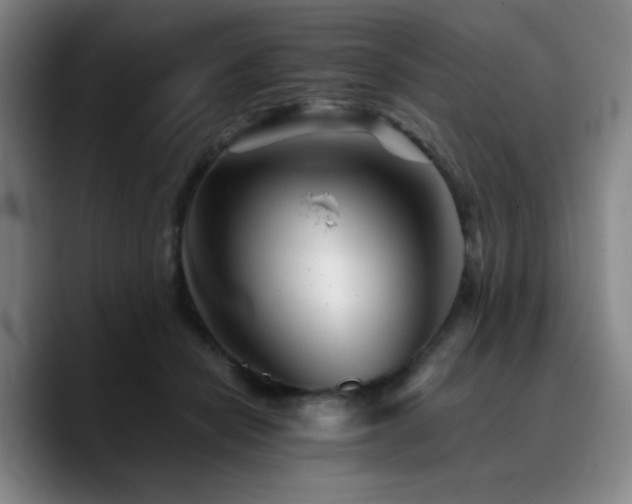 X0000090720462200707201352