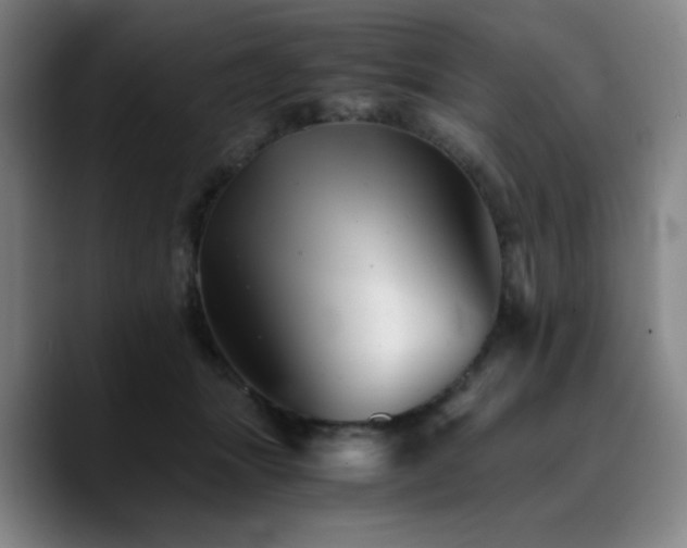 X0000090720463200707201352