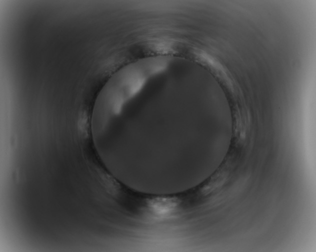 X0000090720465200707201352