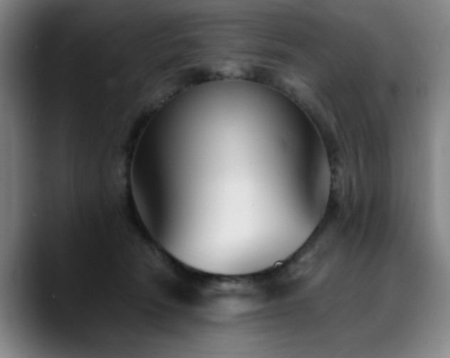 X0000090720466200707201352