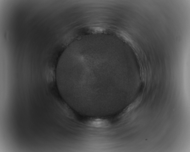 X0000090720467200707201352