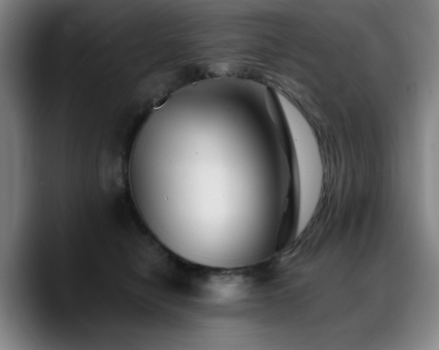 X0000090720470200707201352
