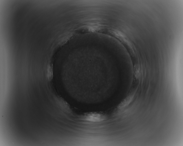 X0000090720471200707201352