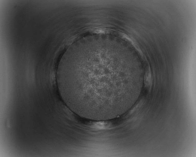 X0000090720473200707201352