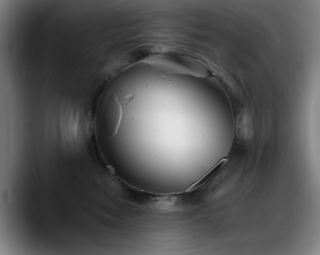 X0000090720474200707201352
