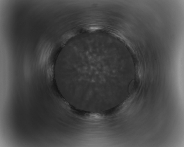 X0000090720475200707201352