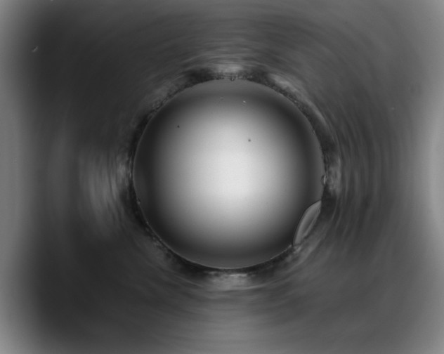 X0000090720476200707201352