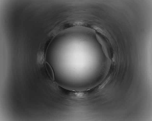 X0000090720478200707201352
