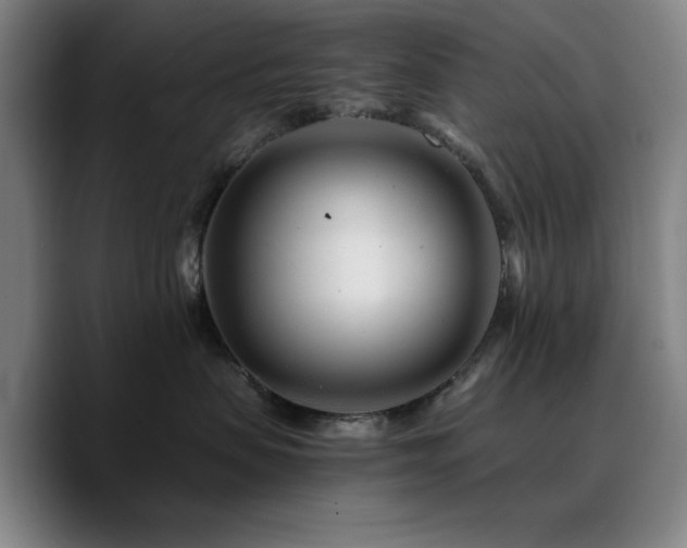 X0000090720479200707201352