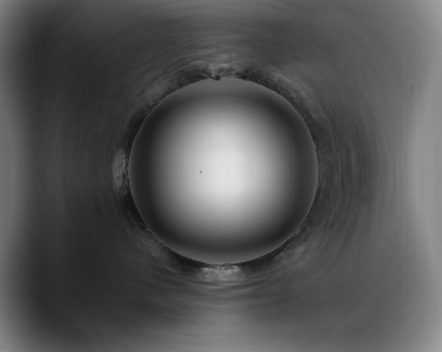 X0000090720480200707201352