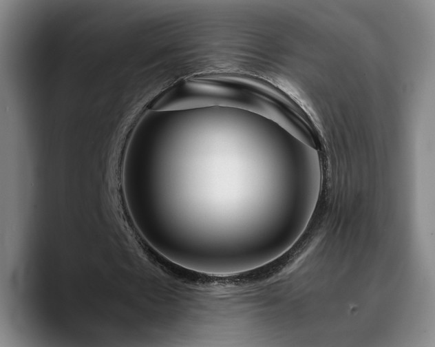 X0000090720481200707201351