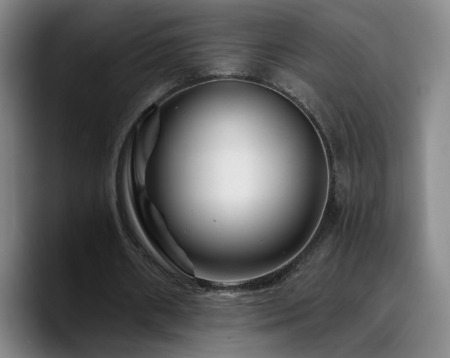 X0000090720482200707201351