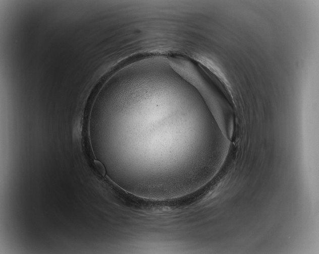 X0000090720483200707201351