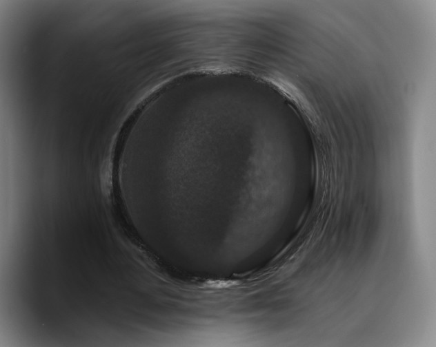 X0000090720484200707201351