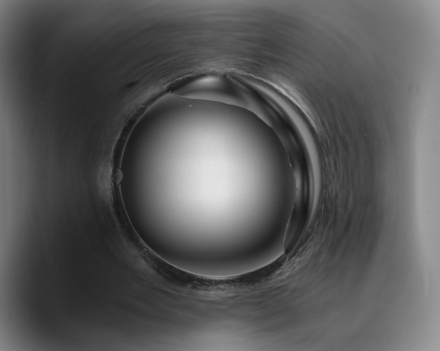 X0000090720485200707201351