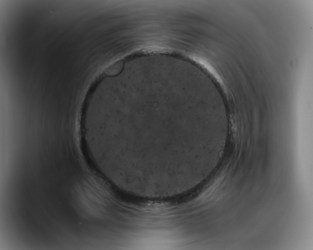 X0000090720487200707201351