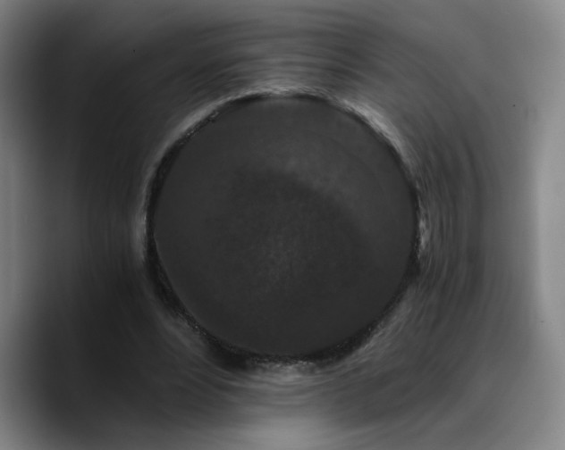 X0000090720488200707201351