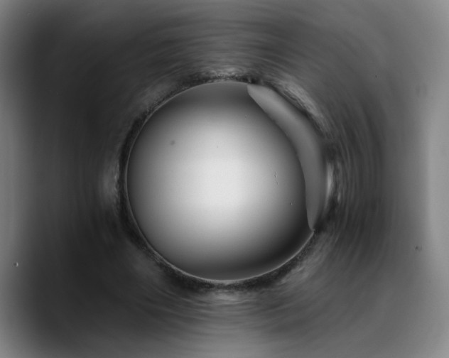 X0000090720490200707201351