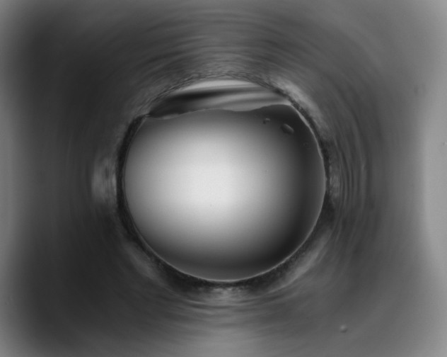 X0000090720493200707201351