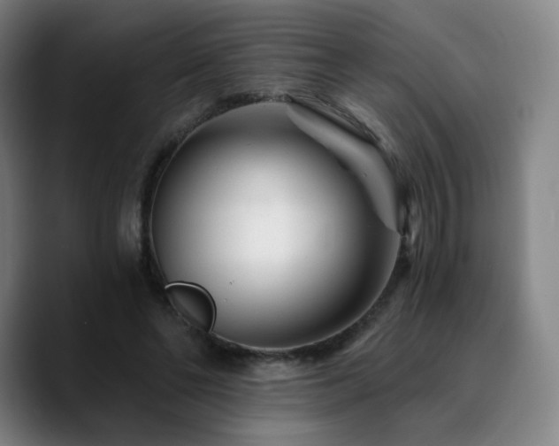 X0000090720494200707201351