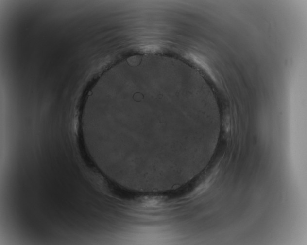 X0000090720495200707201351