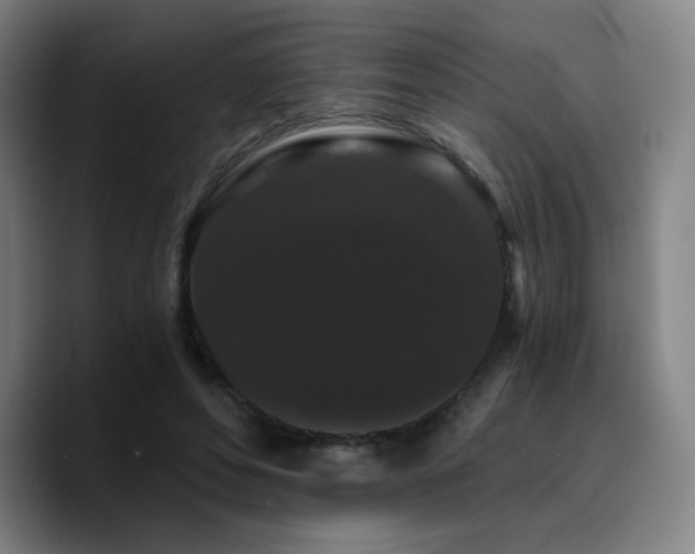 X0000090720496200707201351