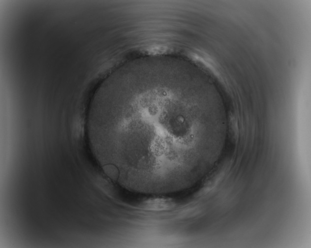 X0000090720499200707201351