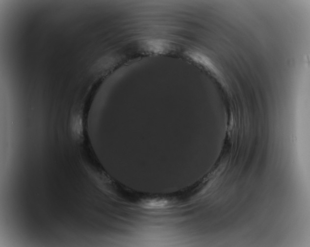 X0000090720500200707201351
