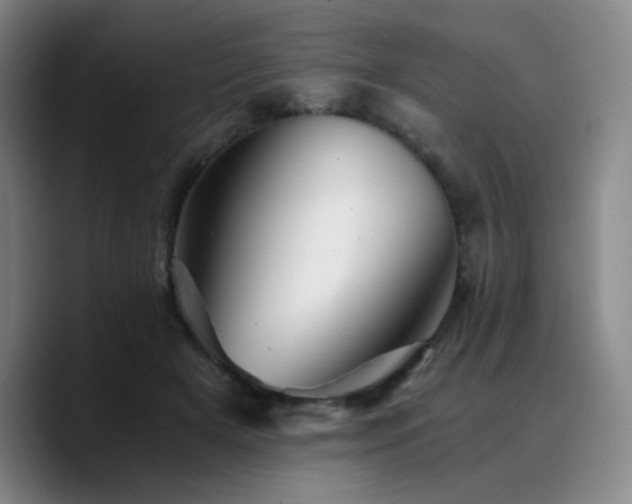 X0000090720505200707201351