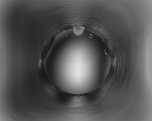 X0000090720508200707201351