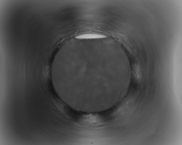 X0000090720511200707201351