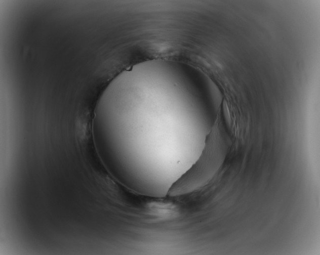 X0000090720515200707201351