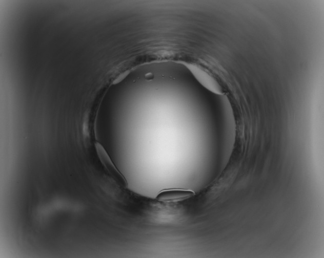 X0000090720516200707201351