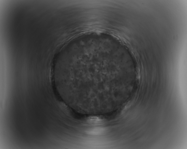 X0000090720519200707201351